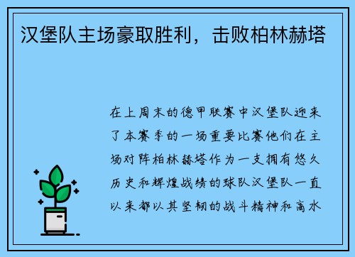 汉堡队主场豪取胜利，击败柏林赫塔